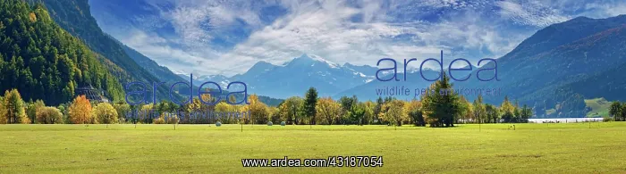: Lake Resia panorama with Ortles mountain range : Lake Resia panorama with Ortles mountain range