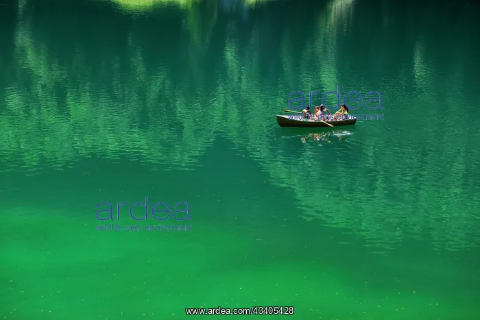 : Lake and rowing boat, Seealpsee, Wasserauen, Alpstein, A : Lake and rowing boat, Seealpsee, Wasserauen, Alpstein, A