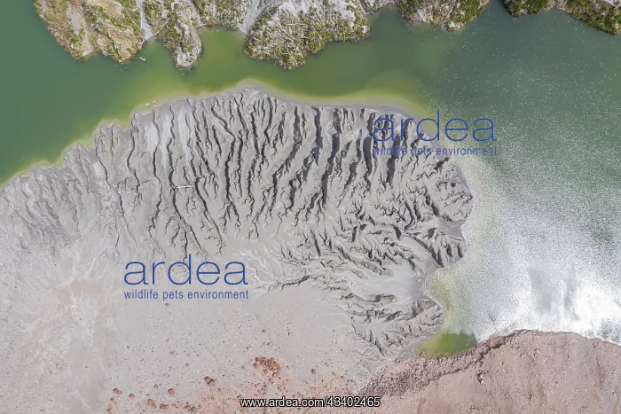 : Lake with sandbank, dead trees, crater rim of Chaiten : Lake with sandbank, dead trees, crater rim of Chaiten