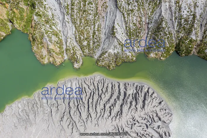 : Lake with sandbank, dead trees, crater rim of Chaiten : Lake with sandbank, dead trees, crater rim of Chaiten