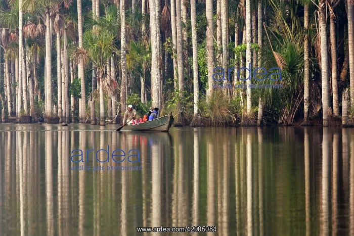 : Lake Sandoval : Lake Sandoval