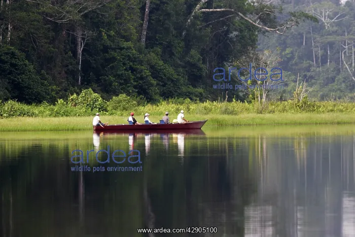 : Lake Sandoval - tourists in boat : Lake Sandoval - tourists in boat
