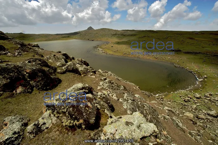 : Lake on Sanetti Plateau : Lake on Sanetti Plateau