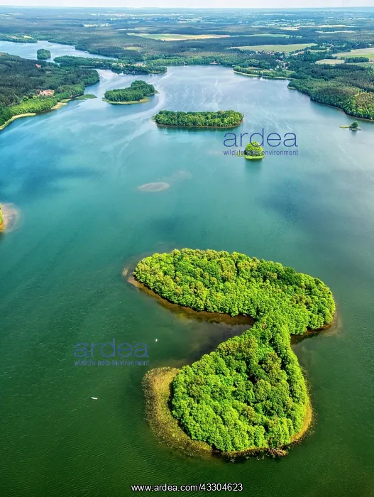 : Lake scenery, Pomeranian Lake District, wooded island : Lake scenery, Pomeranian Lake District, wooded island