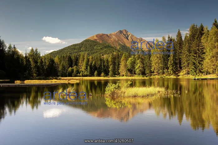 : Lake Schattensee with water reflection, behind mountain : Lake Schattensee with water reflection, behind mountain