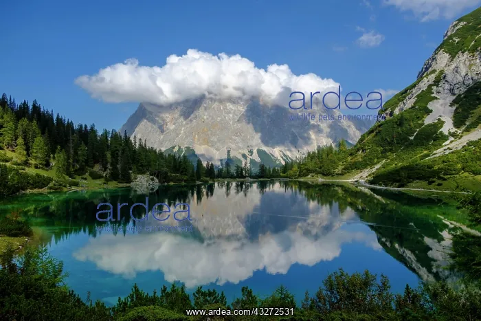 : Lake Seebensee, view of the Zugspitze, Ehrwald : Lake Seebensee, view of the Zugspitze, Ehrwald