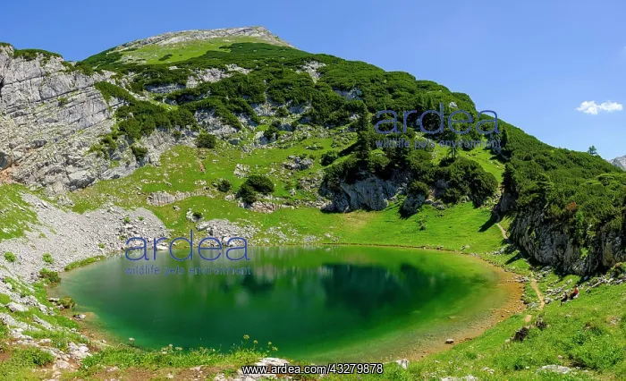 : Lake Seehornsee under the summit of Seehorn, Bergsee : Lake Seehornsee under the summit of Seehorn, Bergsee