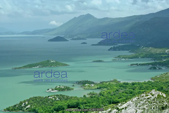 : Lake Skadar - embedded between mountains with marshland