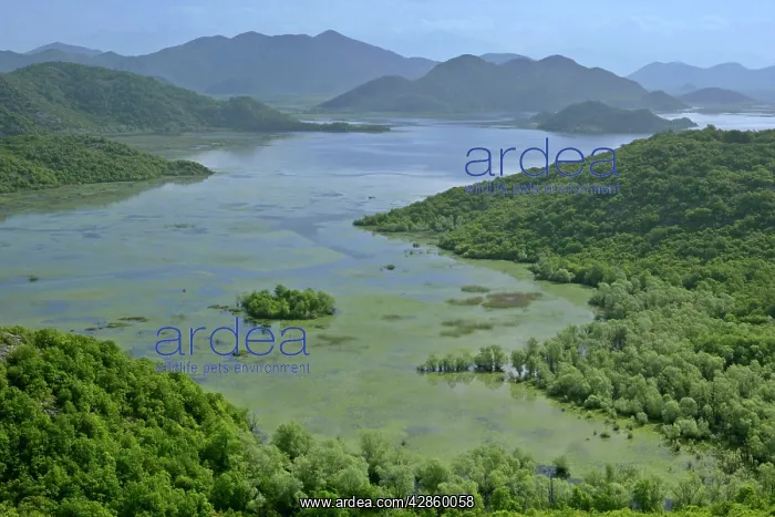 : Lake Skadar - embedded between mountains with marshland : Lake Skadar - embedded between mountains with marshland