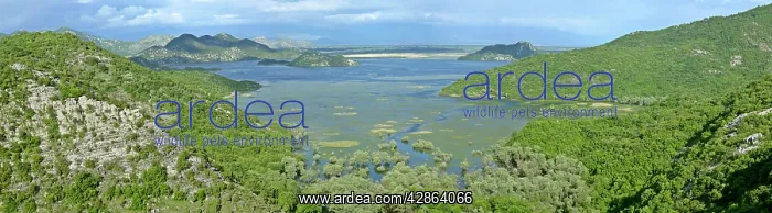 : Lake Skadar - embedded between mountains with marshland : Lake Skadar - embedded between mountains with marshland