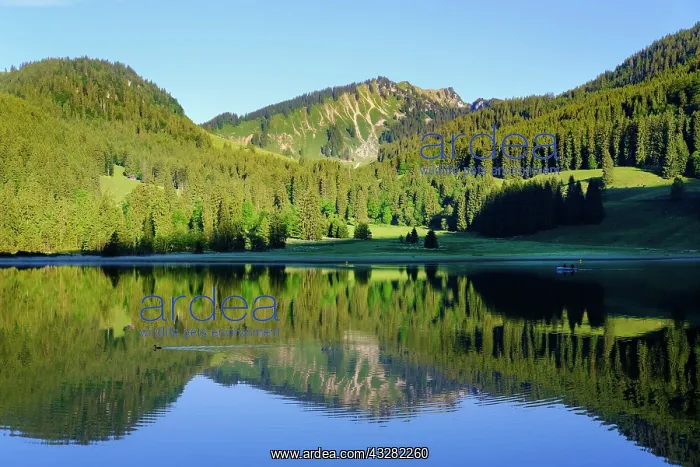 : Lake Spitzingsee, Berg Bodenschneid, Mangfall mountains : Lake Spitzingsee, Berg Bodenschneid, Mangfall mountains