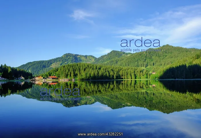 : Lake Spitzingsee, town Spitzingsee, Mangfall mountains : Lake Spitzingsee, town Spitzingsee, Mangfall mountains