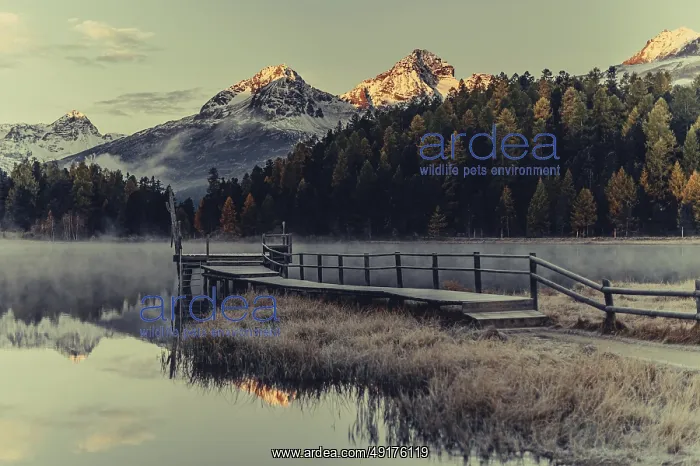 : Lake Staz near Sankt Moritz in the Engadin in Switzerland : Lake Staz near Sankt Moritz in the Engadin in Switzerland