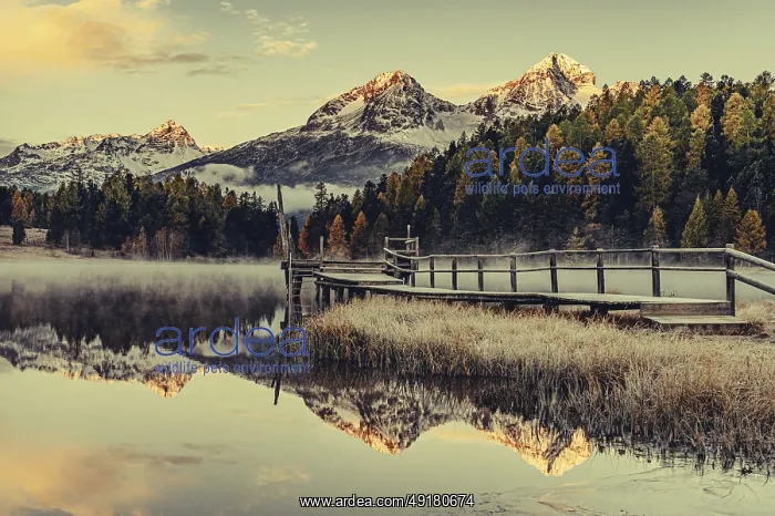 : Lake Staz near Sankt Moritz in the Engadin in Switzerland : Lake Staz near Sankt Moritz in the Engadin in Switzerland