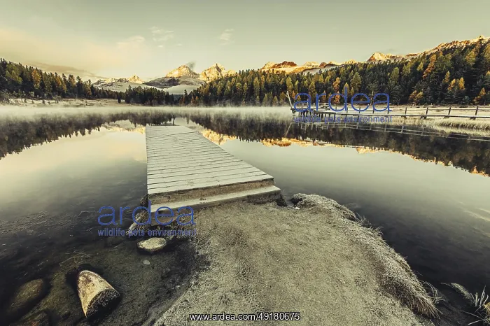 : Lake Staz near Sankt Moritz in the Engadin in Switzerland : Lake Staz near Sankt Moritz in the Engadin in Switzerland