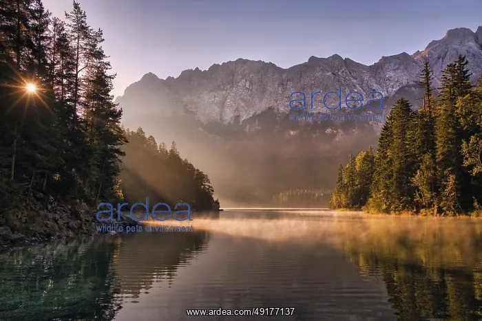 : Lake at sunrise with fog, mountains and reflection : Lake at sunrise with fog, mountains and reflection