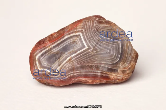 : Lake Superior Agate : Lake Superior Agate