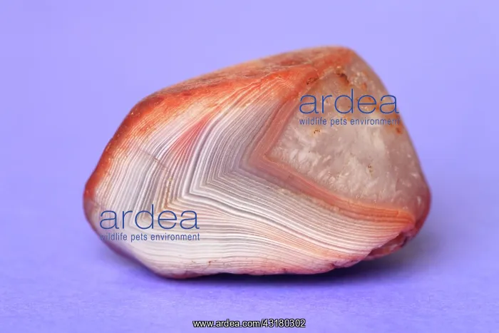 : Lake Superior Agate : Lake Superior Agate