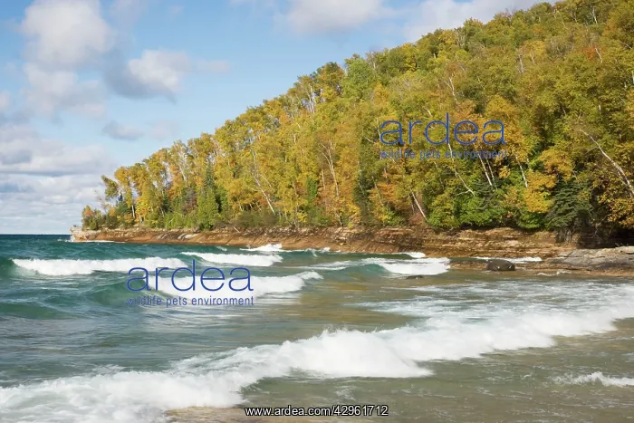 : Lake Superior Shoreline - Picture Rocks National Park : Lake Superior Shoreline - Picture Rocks National Park