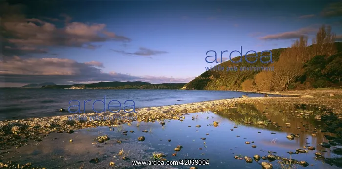  : Lake Taupo - New Zealand