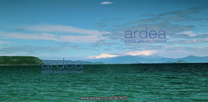  : Lake Taupo - New Zealand