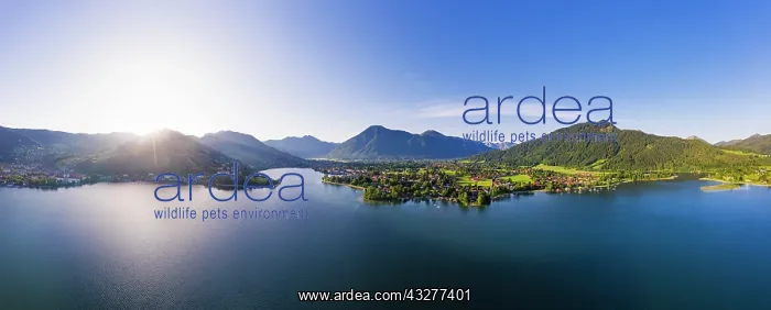 : Lake Tegernsee at sunrise, left townsmall Tegernsee : Lake Tegernsee at sunrise, left townsmall Tegernsee