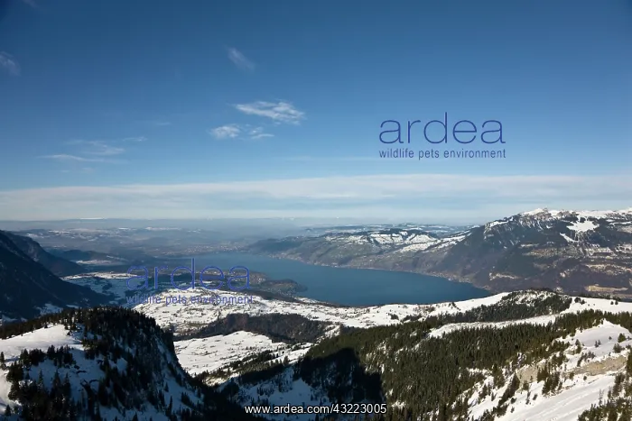 : lake thun seen from mount Standflue towards : lake thun seen from mount Standflue towards