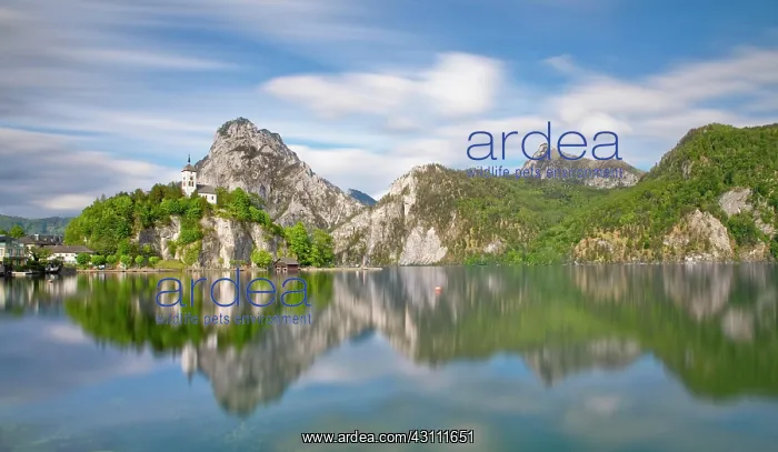 : Lake Traun, Johannesberg Chapel with Traunstein, Traunkirchen : Lake Traun, Johannesberg Chapel with Traunstein, Traunkirchen