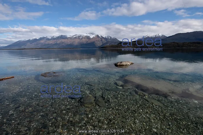 : Lake view - Lake Wakatipu, near Queenstown, Otago : Lake view - Lake Wakatipu, near Queenstown, Otago