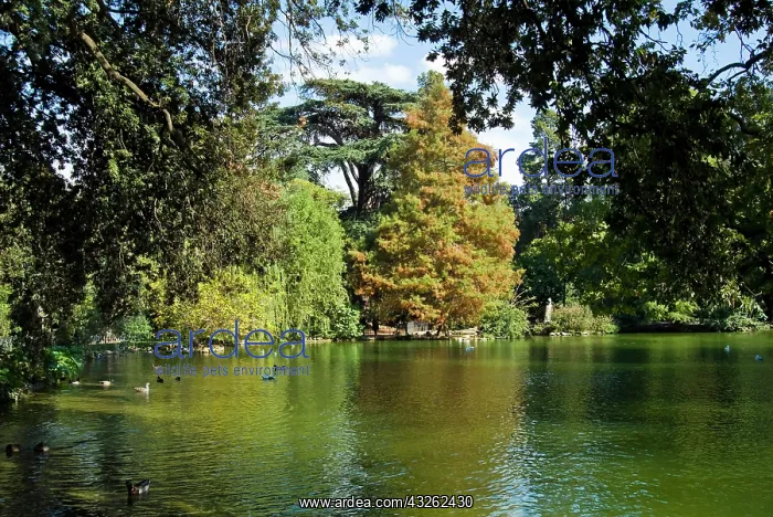 : Lake in Villa Giulia Garden, Rome, Latium : Lake in Villa Giulia Garden, Rome, Latium