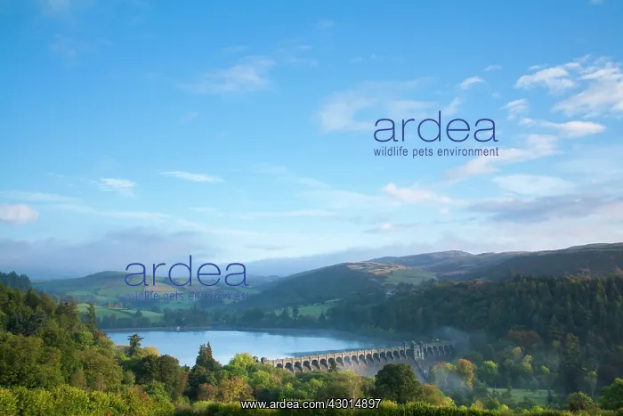 : Lake Vyrnwy dam at dawn