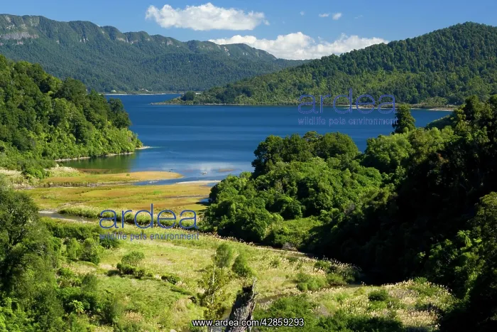 : Lake Waikaremoana - embedded between mountains : Lake Waikaremoana - embedded between mountains