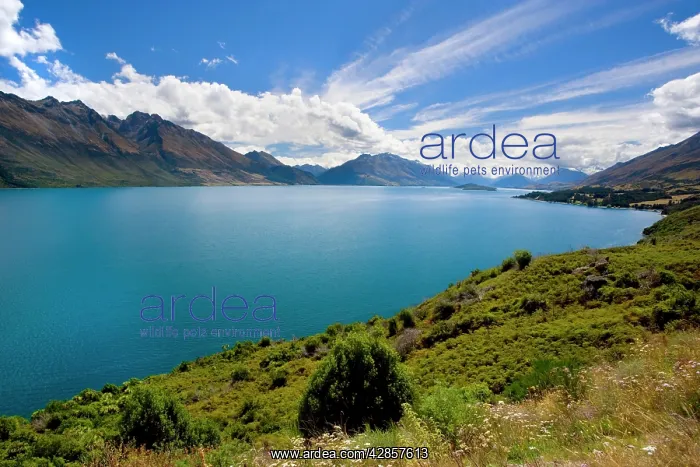 : Lake Wakatipu - surrounded by stunning mountains : Lake Wakatipu - surrounded by stunning mountains