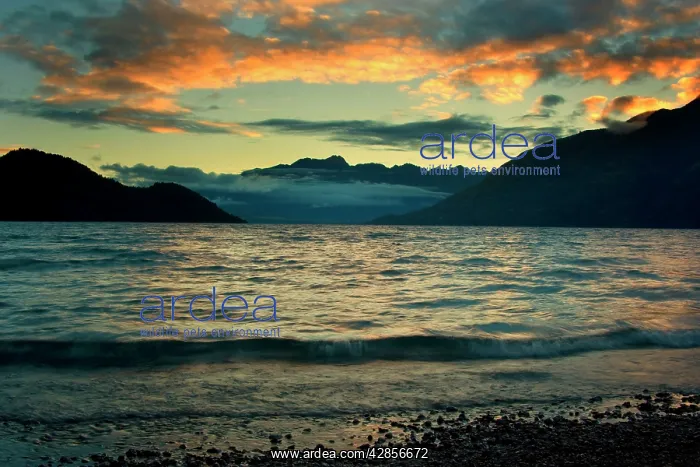 : Lake Wakatipu - view towards the ragged mountain : Lake Wakatipu - view towards the ragged mountain