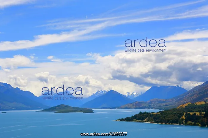 : Lake Wakatipu - view towards the stunning mountains : Lake Wakatipu - view towards the stunning mountains