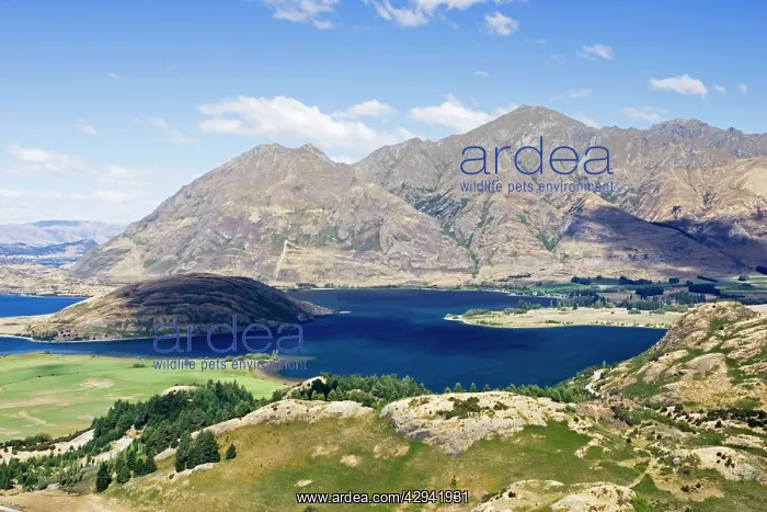 : Lake Wanaka viewpoint and Rocky Mountains : Lake Wanaka viewpoint and Rocky Mountains