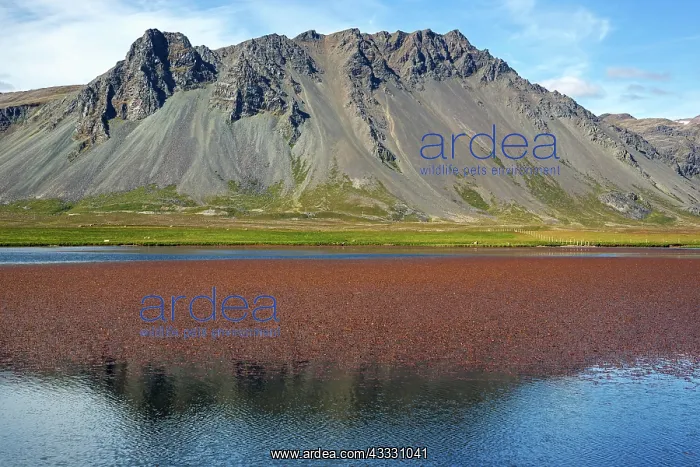 : Lakeland with volcanic mountain, peninsula Sn&, x69a5;llsnes : Lakeland with volcanic mountain, peninsula Sn&, x69a5;llsnes