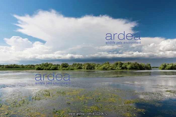  : Lakes in the Danube Delta, Romania, thunderstorm