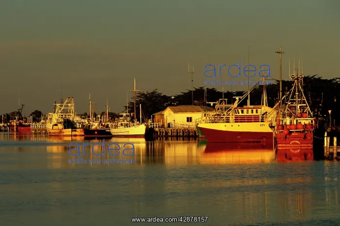 : Lakes Entrance Harbour, Cunninghame Arm : Lakes Entrance Harbour, Cunninghame Arm