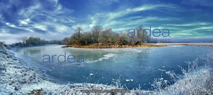 : Lakescape, river landscape in the Middle Elbe Biosphere : Lakescape, river landscape in the Middle Elbe Biosphere