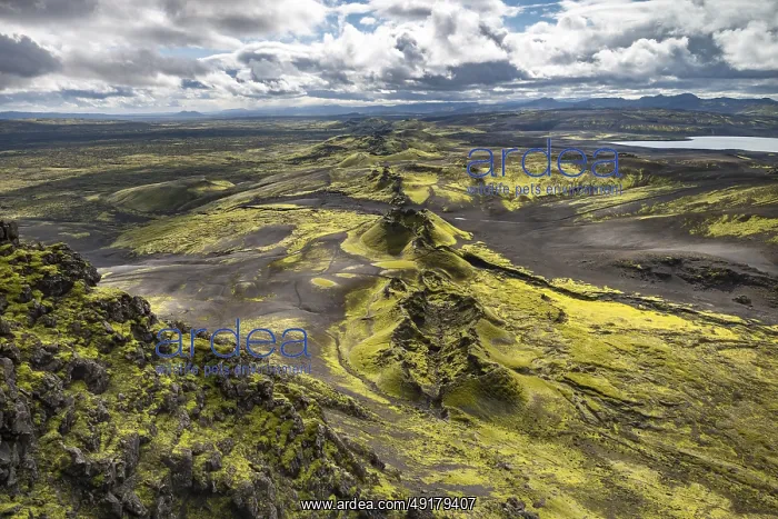 : Laki Crater, Icelandic Highlands, Iceland : Laki Crater, Icelandic Highlands, Iceland