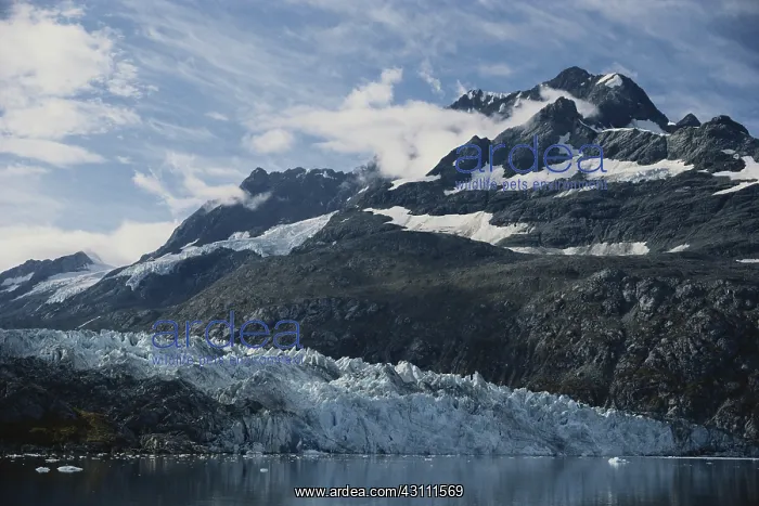 : Lamplugh Glacier : Lamplugh Glacier