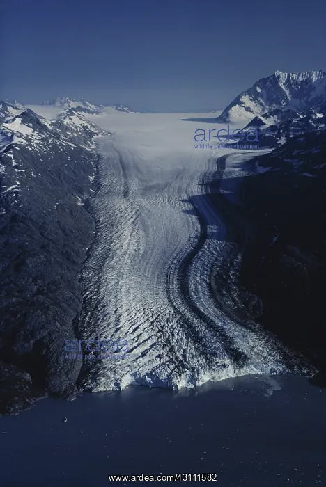 : Lamplugh Glacier : Lamplugh Glacier