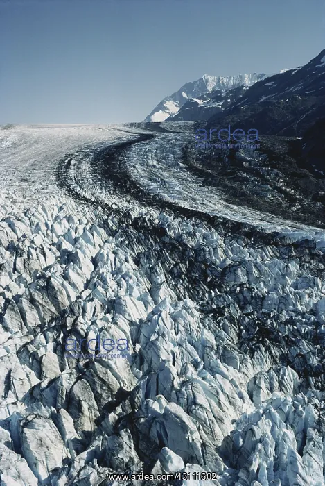 : Lamplugh Glacier : Lamplugh Glacier