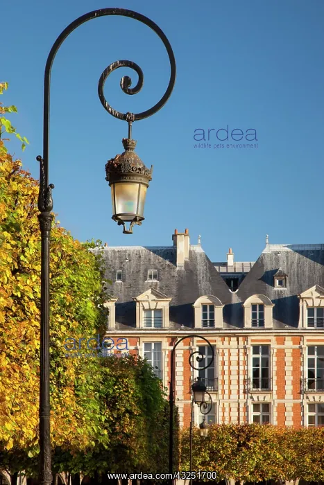  : Lamps and architecture in Place des Vosge