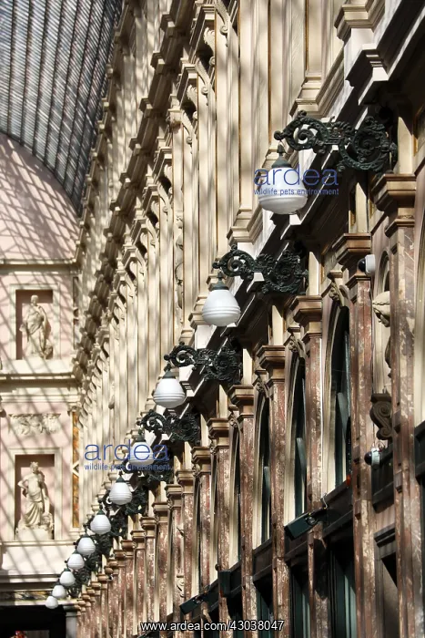 : Lamps and columns of the Galerie de la Reine shopping : Lamps and columns of the Galerie de la Reine shopping