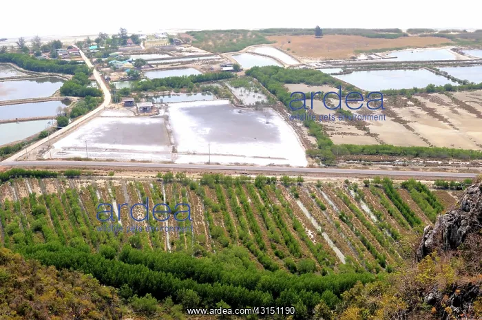 : Land Conversion and Restoration : Land Conversion and Restoration