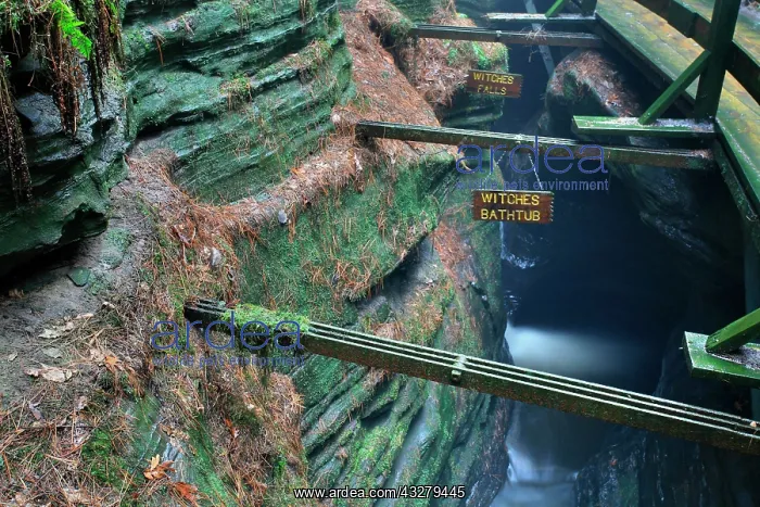 : Land excursion on the Upper Dells Tours of the Wisconsin : Land excursion on the Upper Dells Tours of the Wisconsin