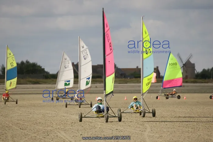 : Land yachts racing on Cherrieux sands : Land yachts racing on Cherrieux sands