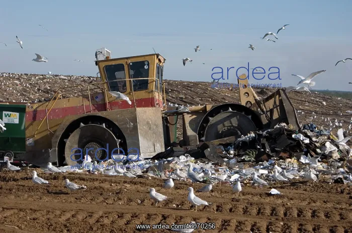 : Landfill and trash compactor. Onslow County Landfill, North Carolina : Landfill and trash compactor. Onslow County Landfill, North Carolina